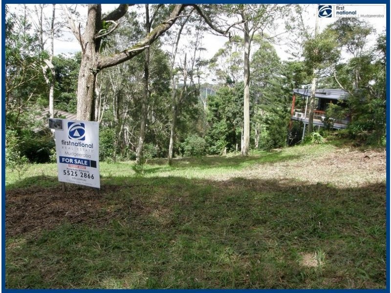 53 Lyrebird Ridge Road, Springbrook QLD 4213