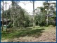 53 Lyrebird Ridge Road, Springbrook QLD 4213