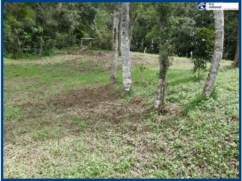 53 Lyrebird Ridge Road, Springbrook QLD 4213