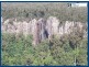 2693 Springbrook Road, Springbrook QLD 4213
