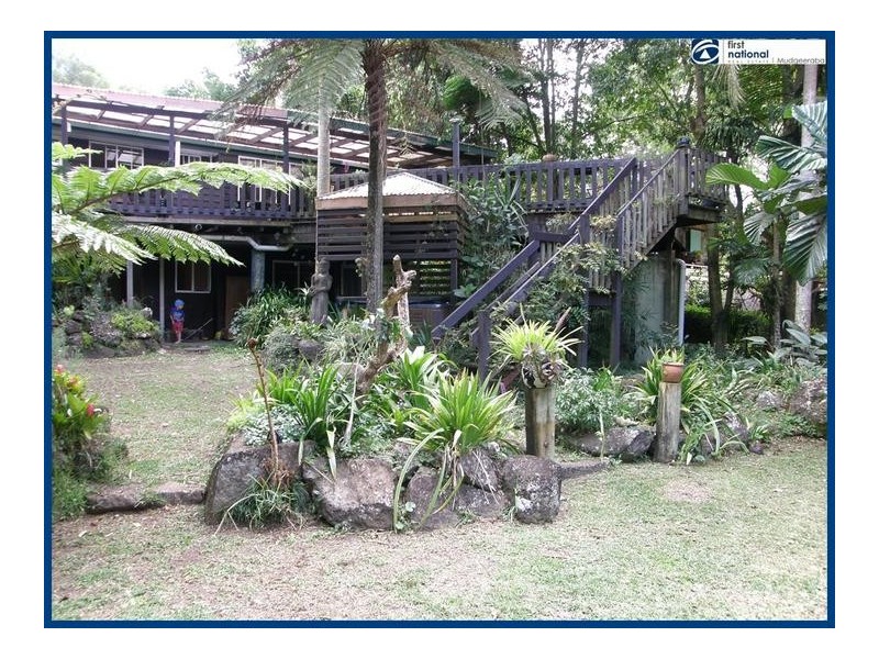 2293 Springbrook Road, Springbrook QLD 4213