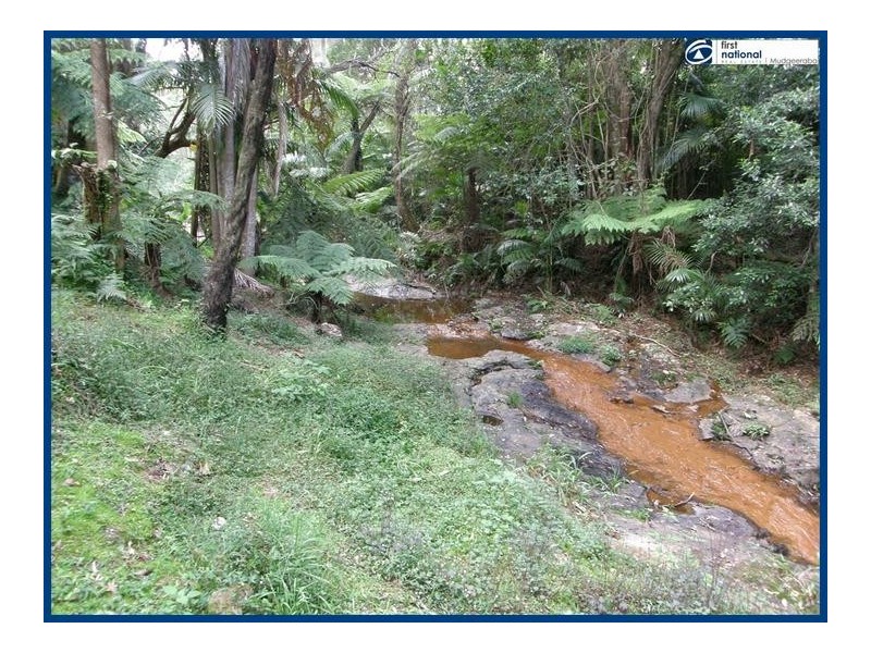 2293 Springbrook Road, Springbrook QLD 4213