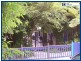 1949 Springbrook Road, Springbrook QLD 4213