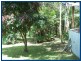 1949 Springbrook Road, Springbrook QLD 4213