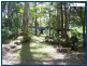 1949 Springbrook Road, Springbrook QLD 4213