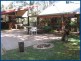 57 Belmont Park Drive, Mudgeeraba QLD 4213