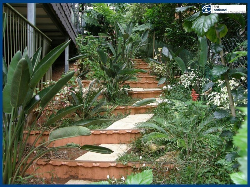 51 Lyrebird Ridge Road, Springbrook QLD 4213