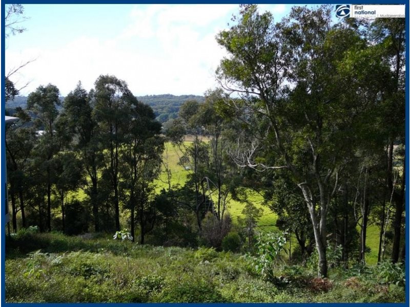 85 Lyrebird Ridge Road, Springbrook QLD 4213