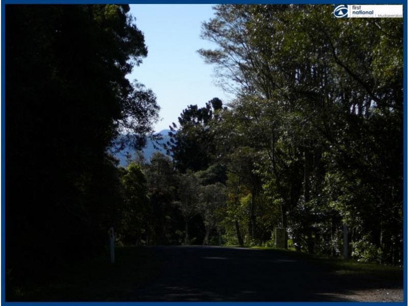 85 Lyrebird Ridge Road, Springbrook QLD 4213