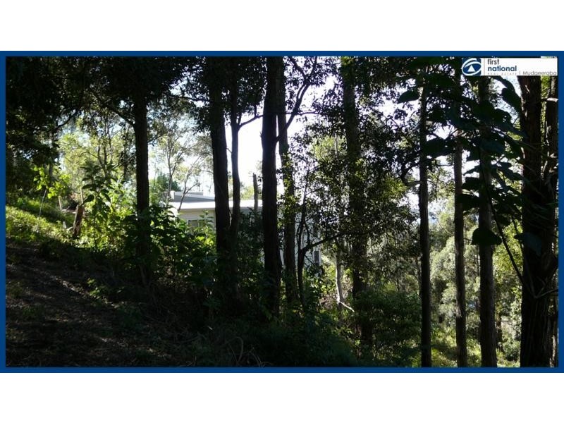 85 Lyrebird Ridge Road, Springbrook QLD 4213