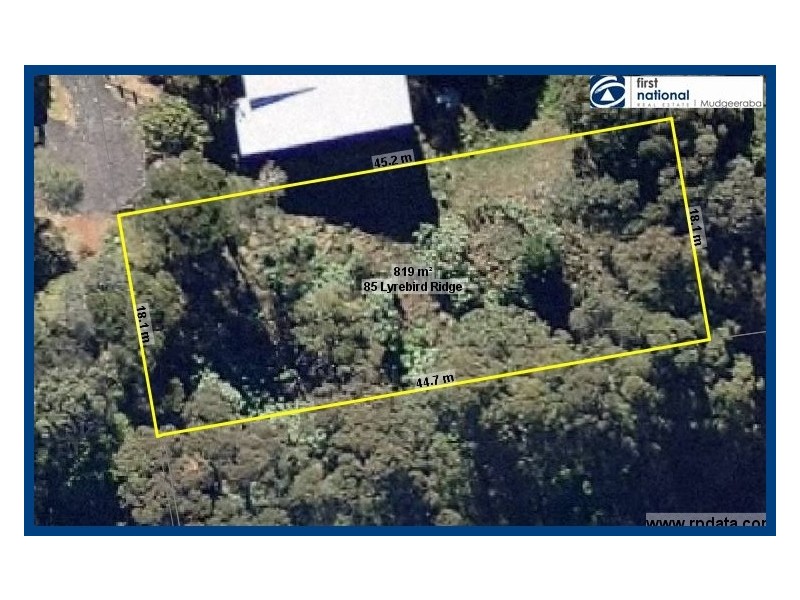 85 Lyrebird Ridge Road, Springbrook QLD 4213