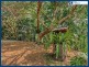 88 Bonogin Road, Bonogin QLD 4213