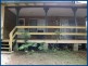 31 Gwongorella Parade, Springbrook QLD 4213