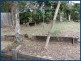 31 Gwongorella Parade, Springbrook QLD 4213