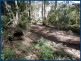 25 Banksia Road, Springbrook QLD 4213