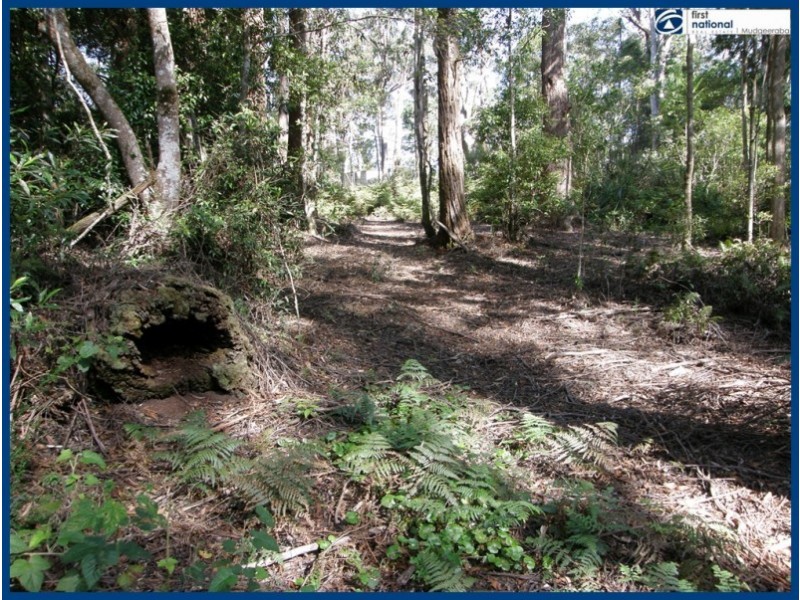 25 Banksia Road, Springbrook QLD 4213