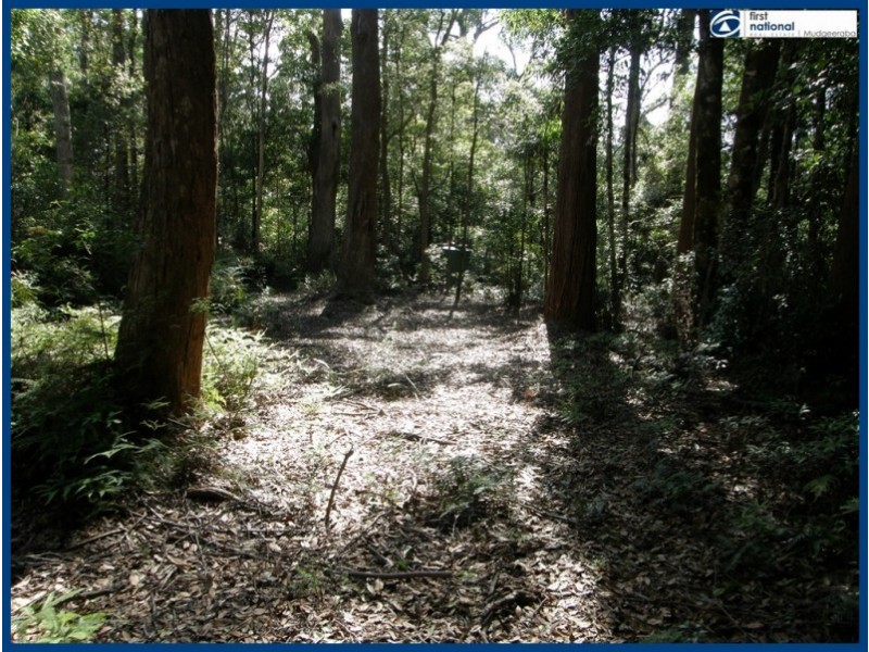 25 Banksia Road, Springbrook QLD 4213