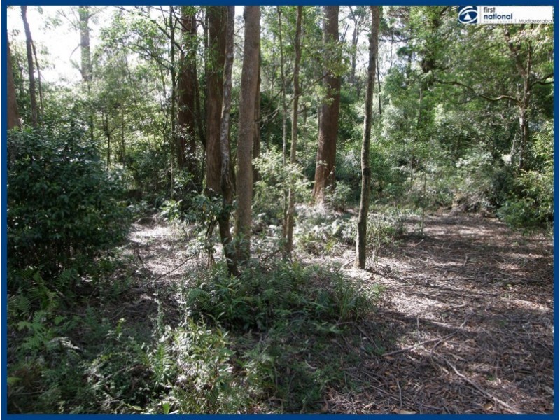 25 Banksia Road, Springbrook QLD 4213