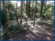 25 Banksia Road, Springbrook QLD 4213