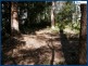 25 Banksia Road, Springbrook QLD 4213