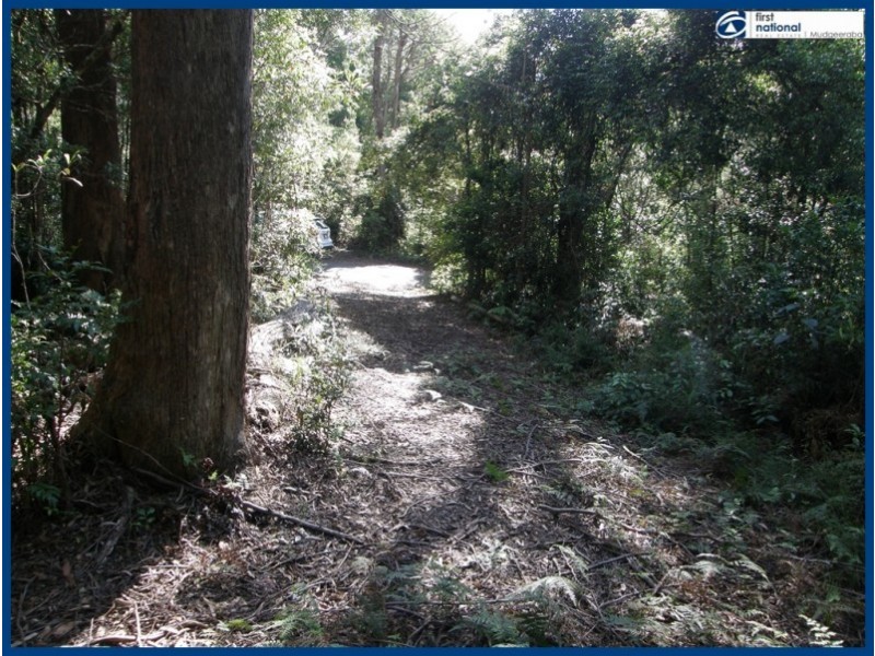 25 Banksia Road, Springbrook QLD 4213