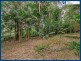 2235 Springbrook Road, Springbrook QLD 4213