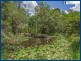 52 Bonogin Road, Mudgeeraba QLD 4213