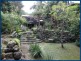 2293 Springbrook Road, Springbrook QLD 4213