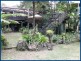 2293 Springbrook Road, Springbrook QLD 4213