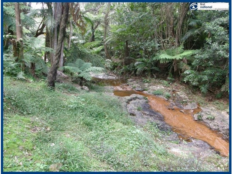 2293 Springbrook Road, Springbrook QLD 4213