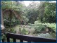 2293 Springbrook Road, Springbrook QLD 4213
