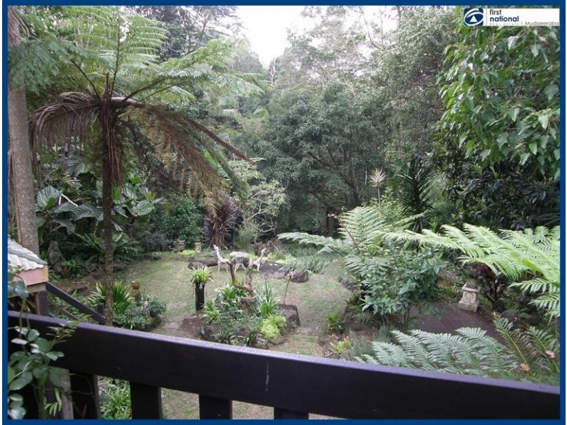 2293 Springbrook Road, Springbrook QLD 4213