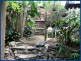 2301 Springbrook Road, Springbrook QLD 4213