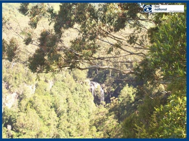 2693 Springbrook Road, Springbrook QLD 4213