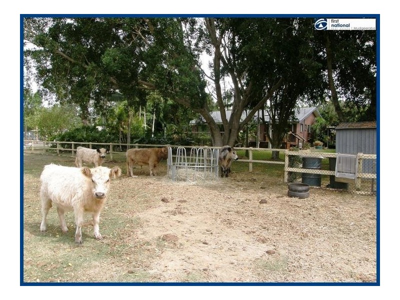 34 Worongary Road, Worongary QLD 4213