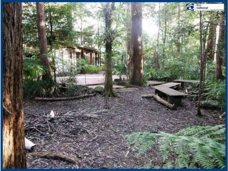 33 Banksia Road, Springbrook QLD 4213