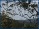 49 Garlinge Court, Bonogin QLD 4213