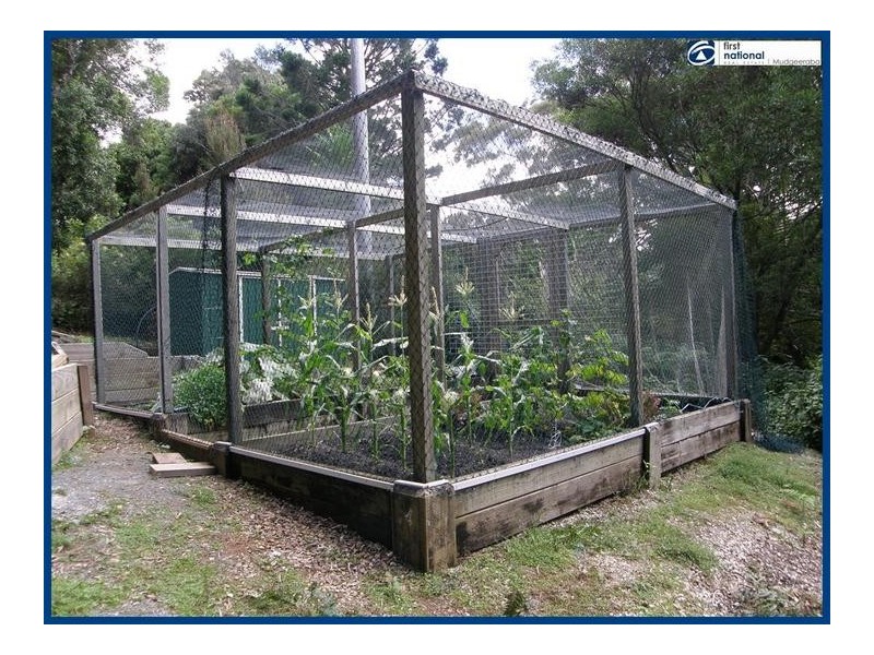 227 Repeater Station Road, Springbrook QLD 4213