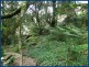 227 Repeater Station Road, Springbrook QLD 4213