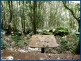 227 Repeater Station Road, Springbrook QLD 4213