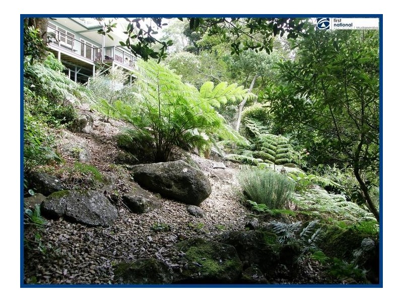 227 Repeater Station Road, Springbrook QLD 4213