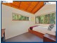 2188 Springbrook Rd, Springbrook QLD 4213