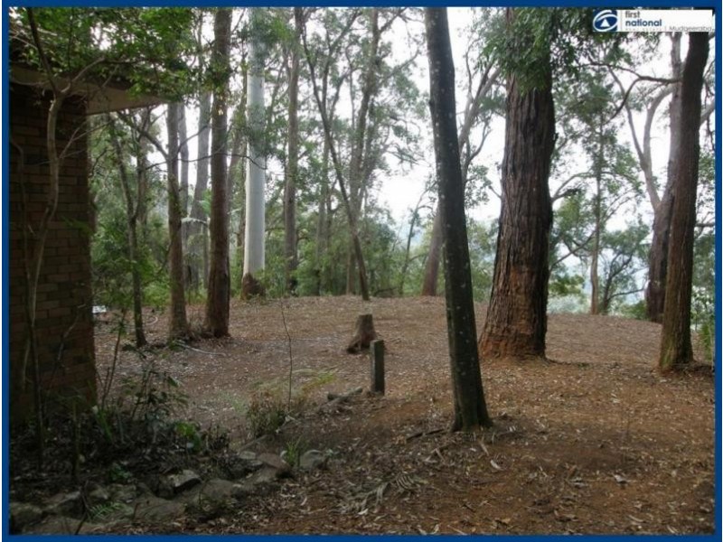 13 Mimosa Road, Springbrook QLD 4213