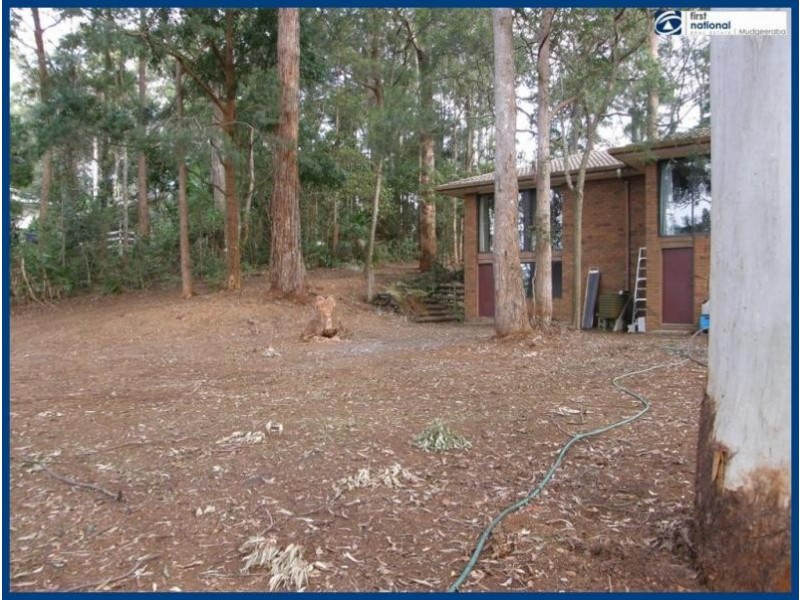 13 Mimosa Road, Springbrook QLD 4213