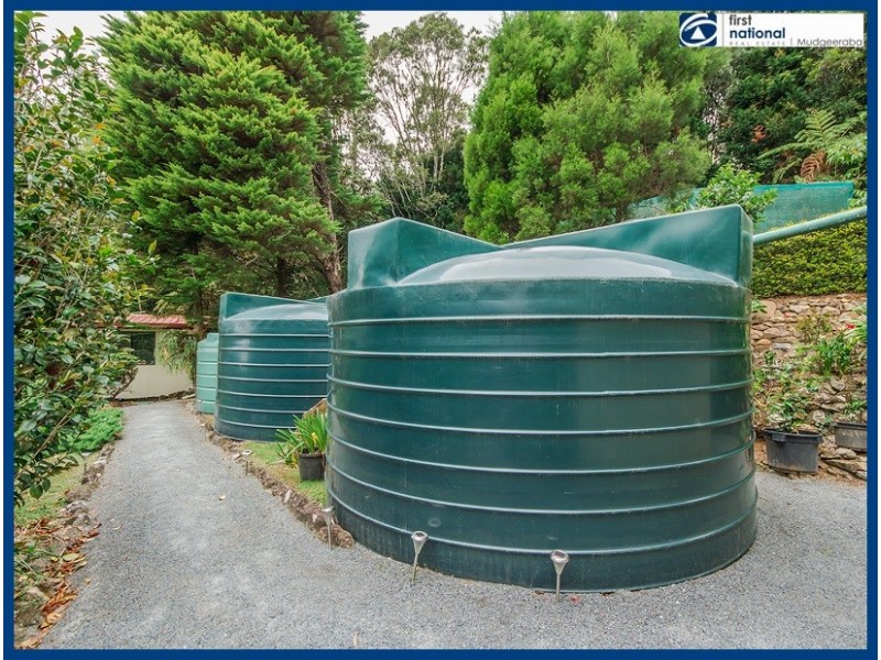 14 Bandicoot Lane, Springbrook QLD 4213