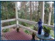 9 Mimosa Road, Springbrook QLD 4213