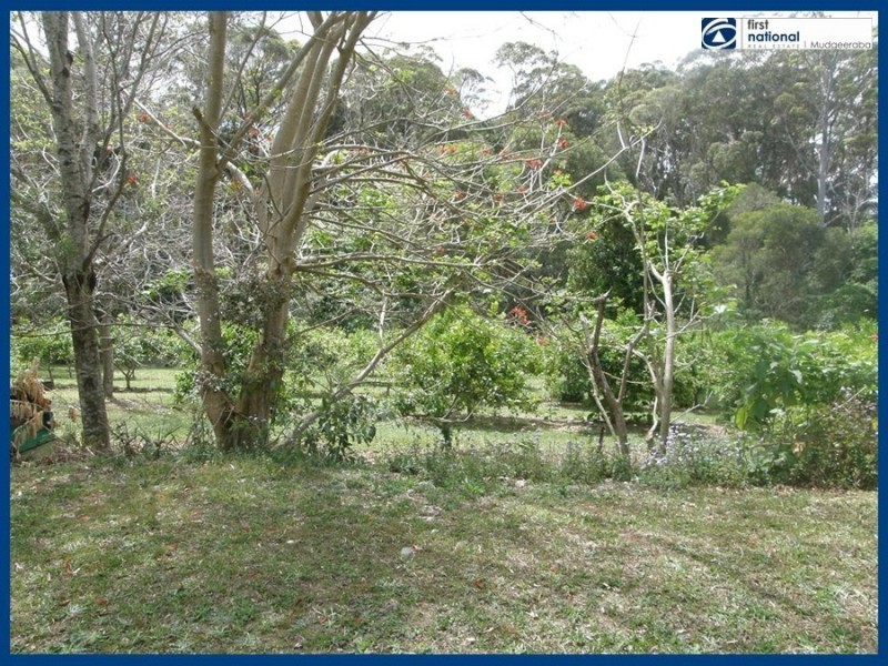 2247 Springbrook Road, Springbrook QLD 4213