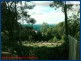 Tallai QLD 4213