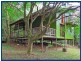 2220 Springbrook Rd, Springbrook QLD 4213