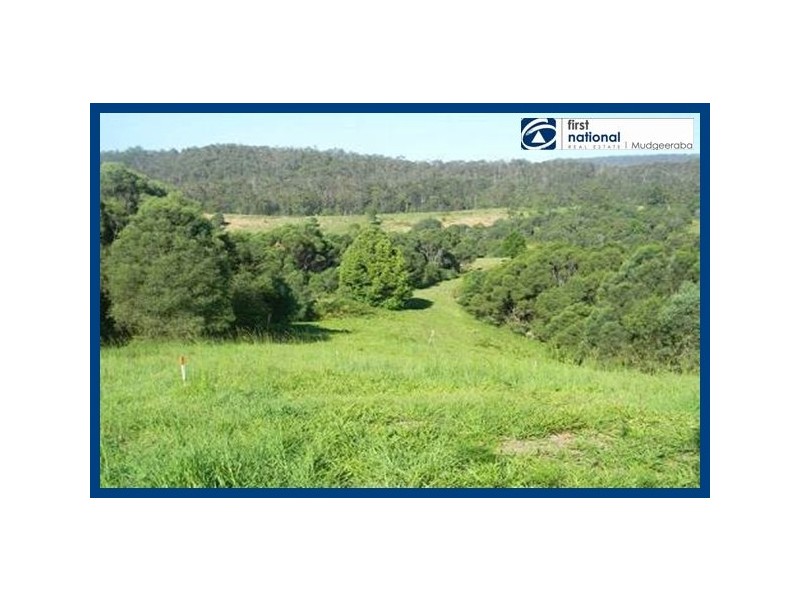 545 Austinville Road, Austinville QLD 4213